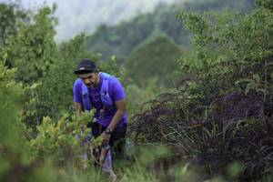 BIB: 
                            <button type="button" onclick="openModal(24761846)" class="btn btn-primary btn-sm float-right btn-popup" data-toggle="modal" data-target=".modal-high-quality">
                        <i class="fas fa-shopping-cart"></i> Add to Cart
                    </button>
                                            <button type="button" onclick="isThisMe(24761846, true)" class="btn btn-success btn-sm float-right btn-popup btn-isme hidden" data-toggle="tooltip" data-placement="bottom" title="นี่คือรูปของคุณใช่ไหม คลิกที่นี่เพื่อเอาเข้าอัลบั้ม">
                        <i class="fas fa-plus"></i> Add to album
                    </button>
                    <button type="button" onclick="isThisMe(24761846, false)" class="btn btn-warning btn-sm float-right btn-popup btn-isnotme hidden">
                        <i class="fas fa-ban"></i> Remove from album
                    </button>